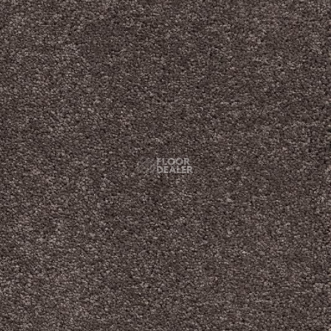 Ковролин AW Vivendi Punch 44 фото 1 | FLOORDEALER
